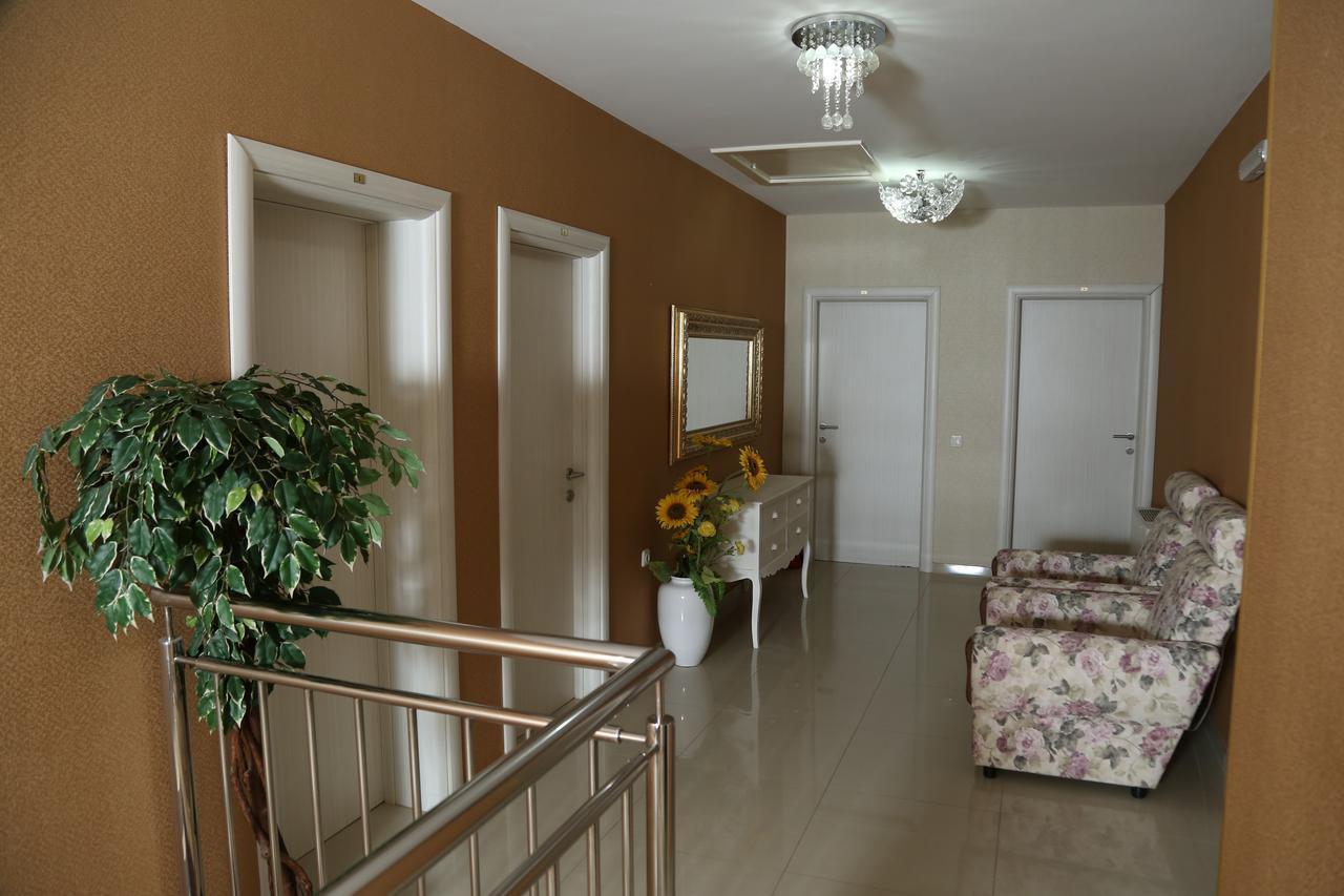B&B Vila Bela Ruza 斯雷姆斯卡米特罗维察 外观 照片