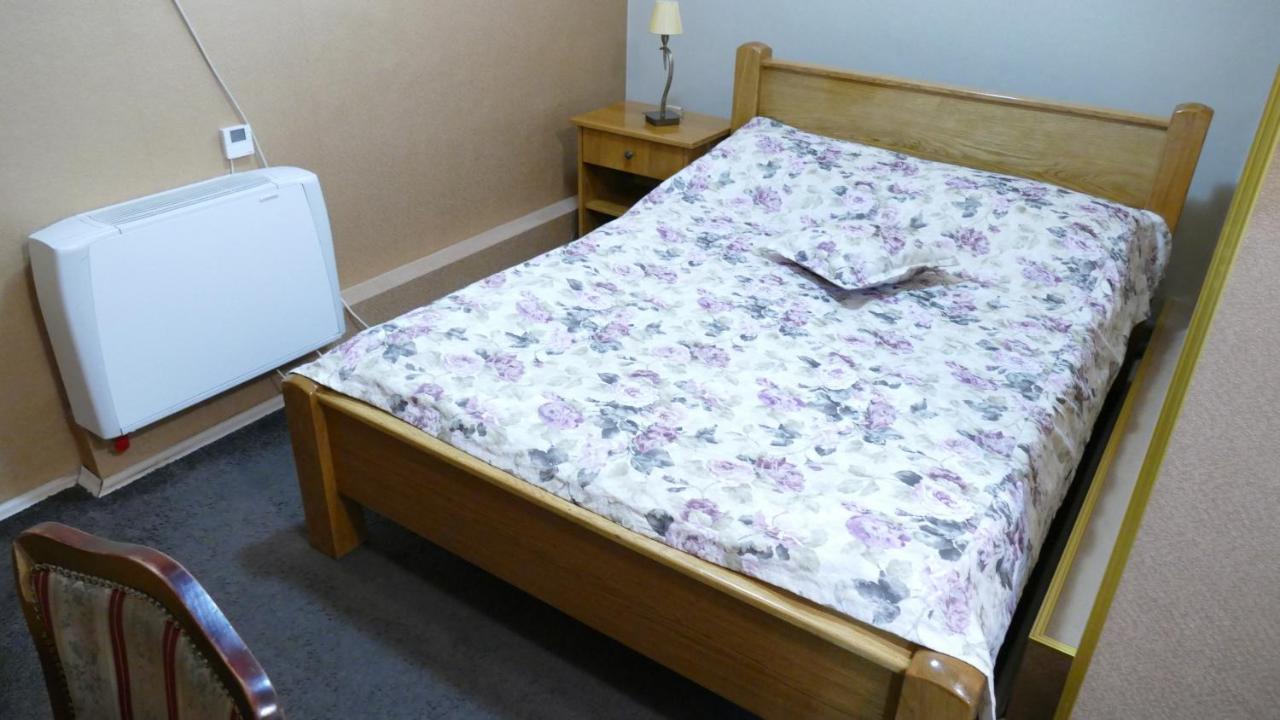 B&B Vila Bela Ruza 斯雷姆斯卡米特罗维察 外观 照片