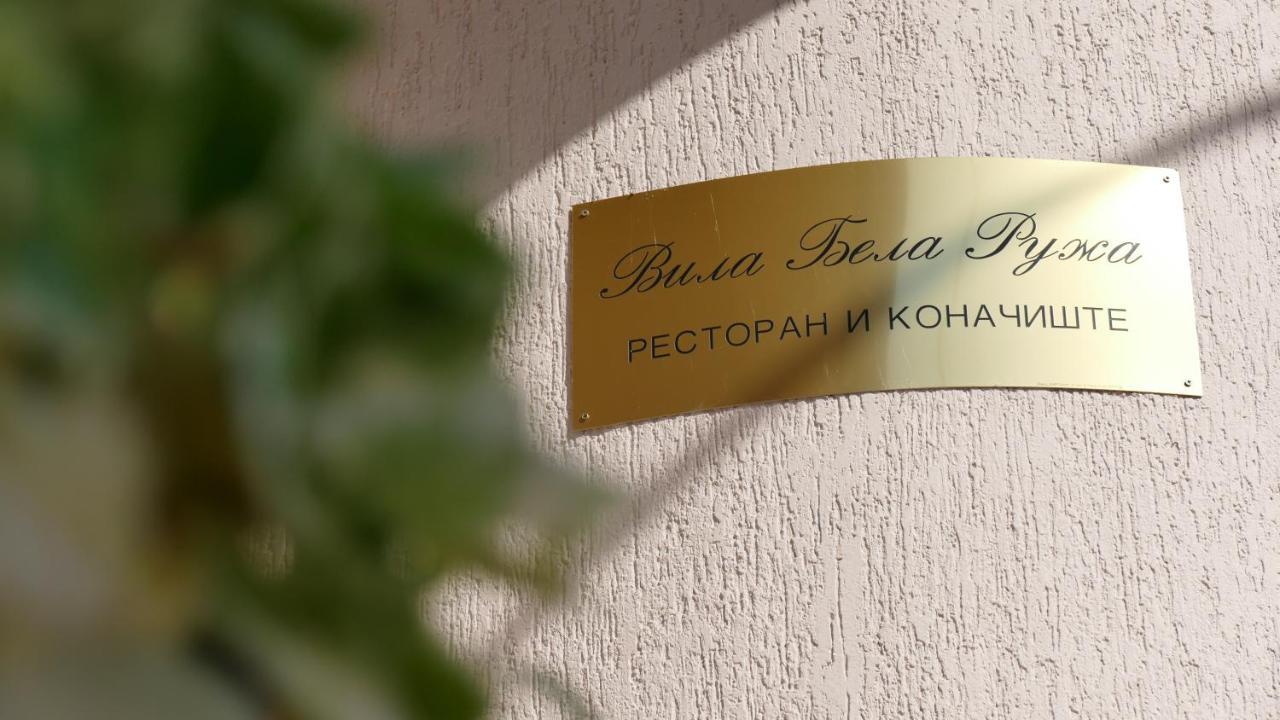 B&B Vila Bela Ruza 斯雷姆斯卡米特罗维察 外观 照片