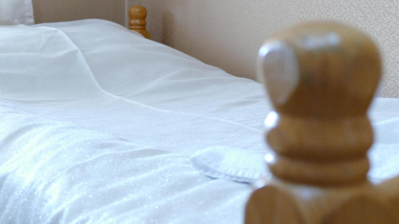 B&B Vila Bela Ruza 斯雷姆斯卡米特罗维察 外观 照片